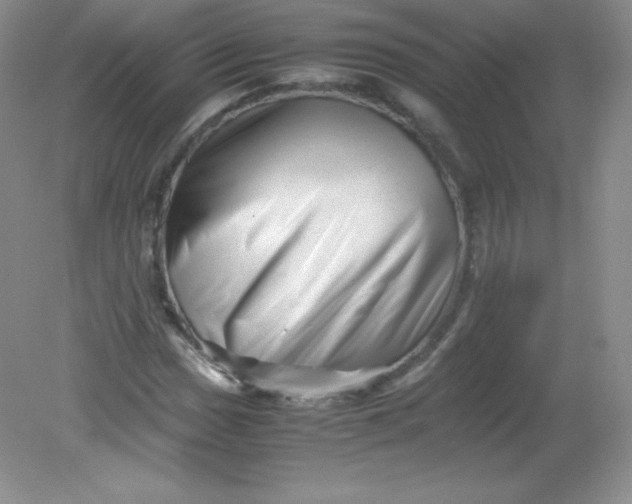 X0000082171017200702021721