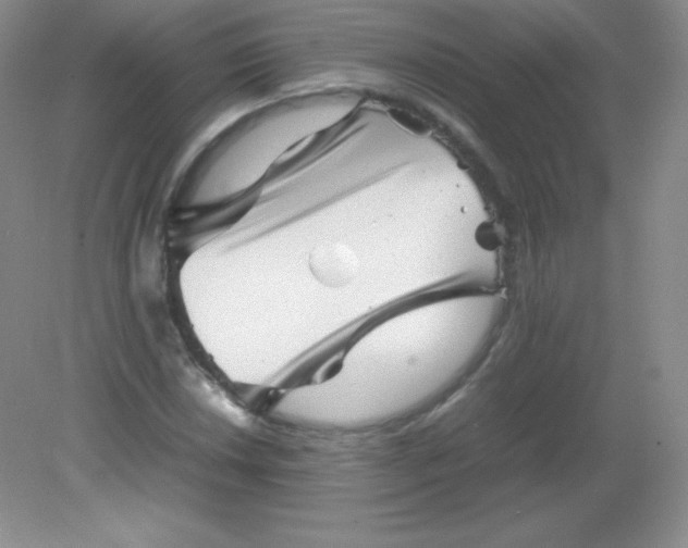 X0000082171018200702021721