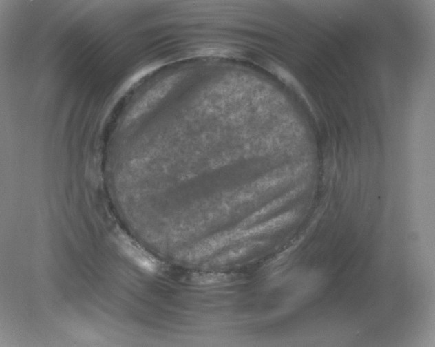 X0000082171019200702021721