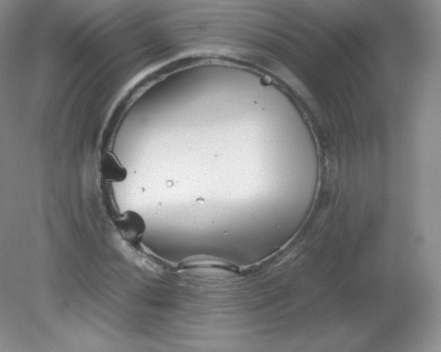 X0000082171020200702021721