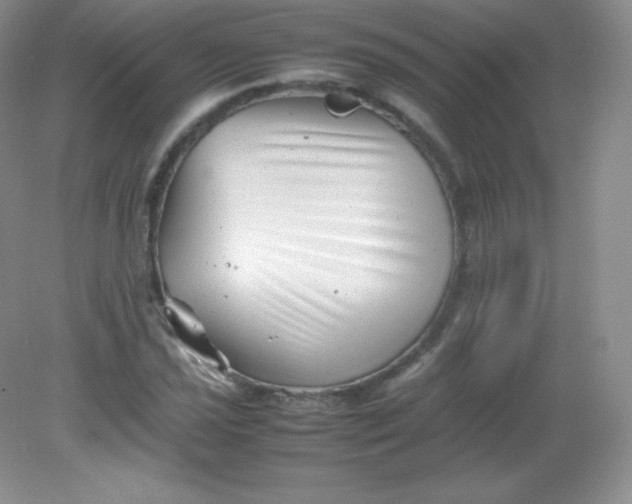 X0000082171021200702021721