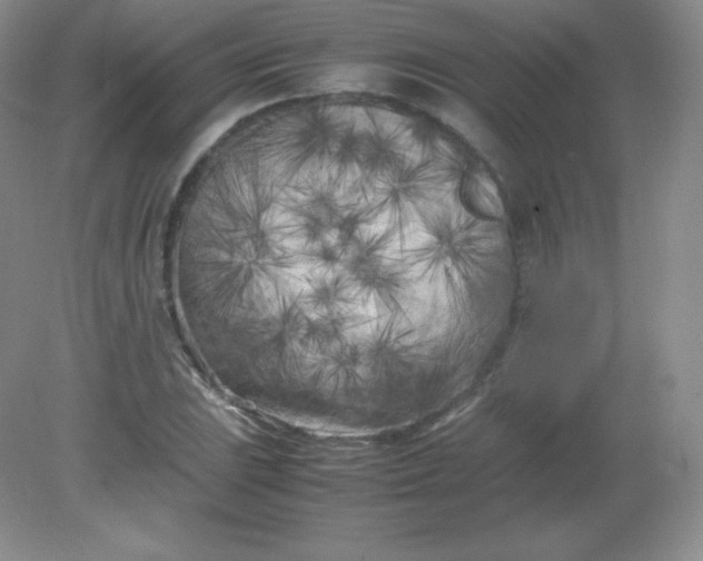 X0000082171023200702021721