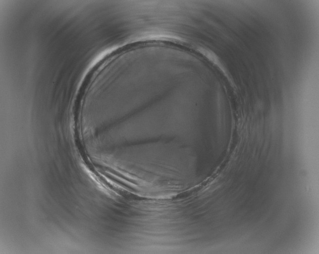 X0000082171024200702021721