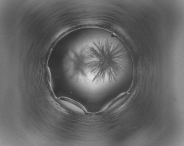 X0000082171025200702021721