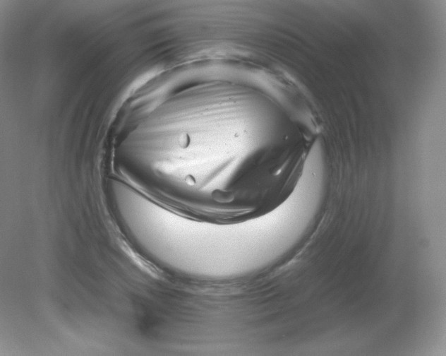 X0000082171026200702021721