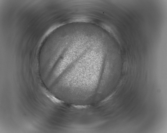 X0000082171027200702021721