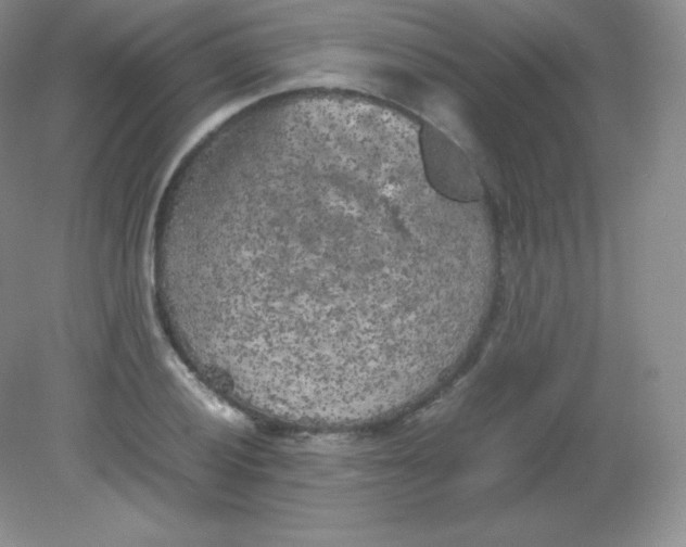 X0000082171028200702021721