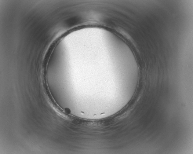 X0000082171029200702021721