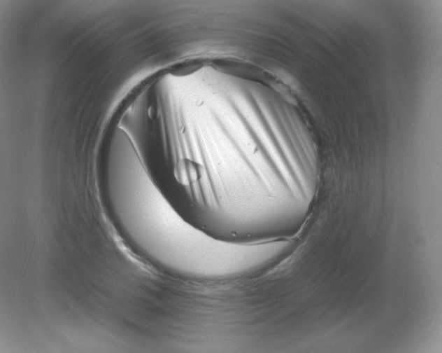 X0000082171030200702021721