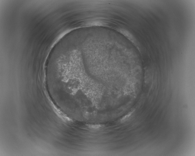 X0000082171031200702021721