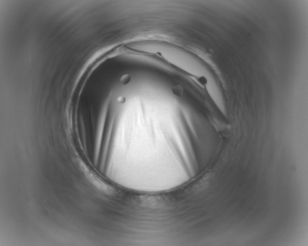 X0000082171032200702021721