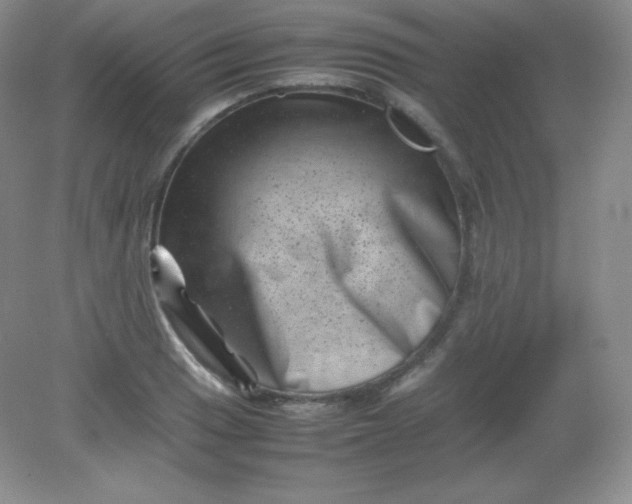 X0000082171033200702021721