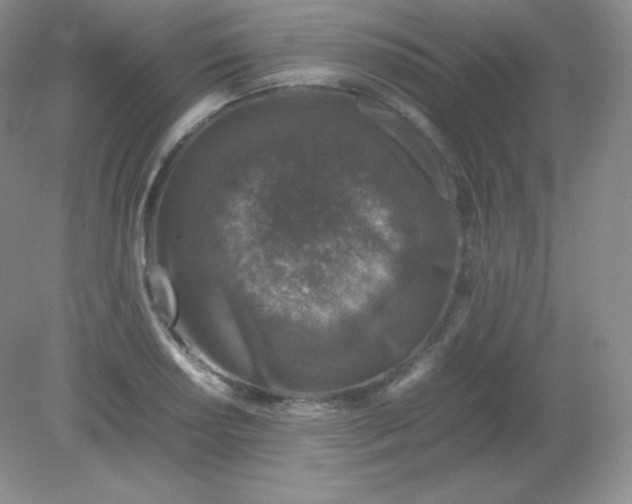 X0000082171034200702021721