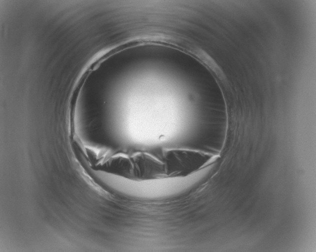 X0000082171036200702021721