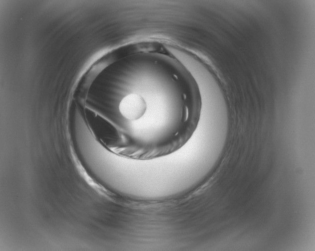 X0000082171038200702021721