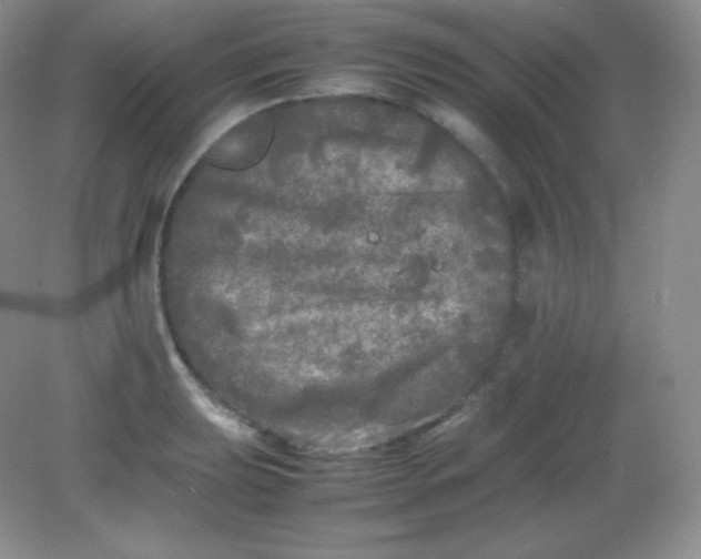 X0000082171039200702021721