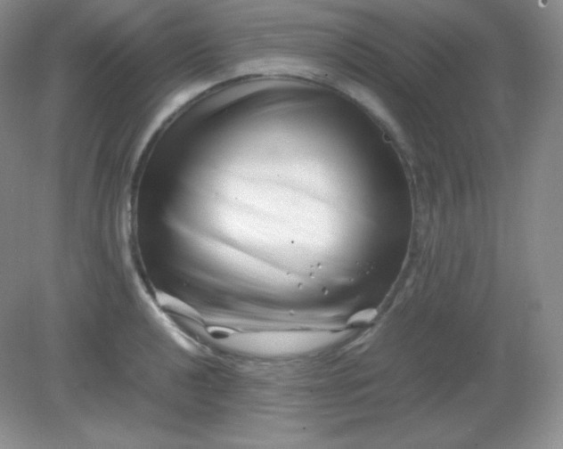 X0000082171040200702021721