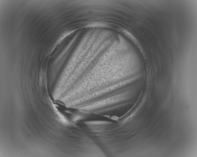 X0000082171041200702021721