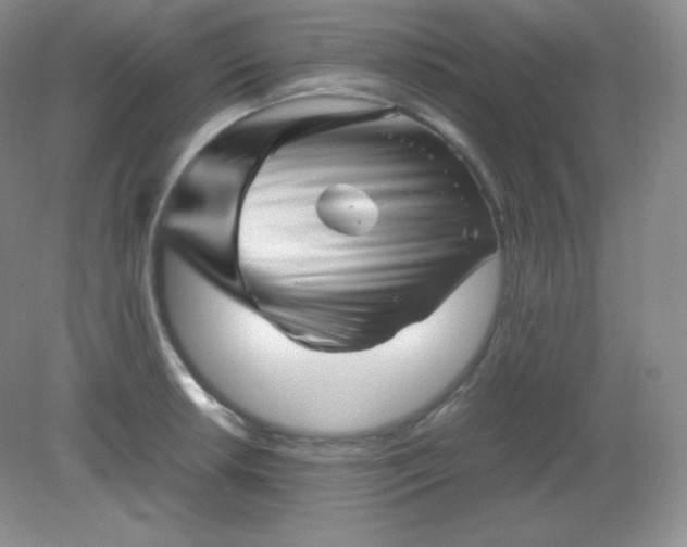 X0000082171042200702021721