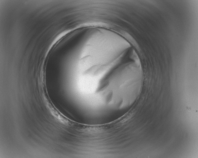 X0000082171044200702021721