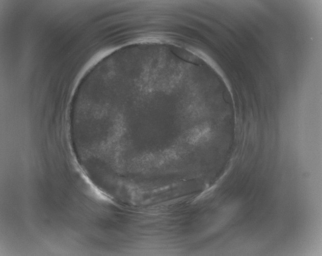 X0000082171045200702021721