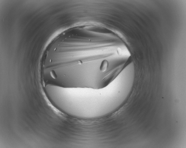 X0000082171046200702021721