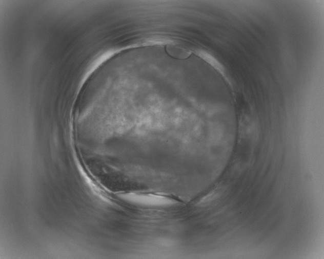 X0000082171047200702021721