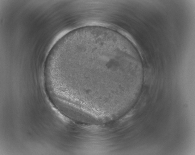 X0000082171048200702021721