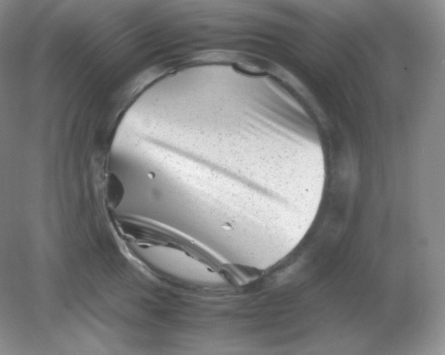 X0000082171049200702021721