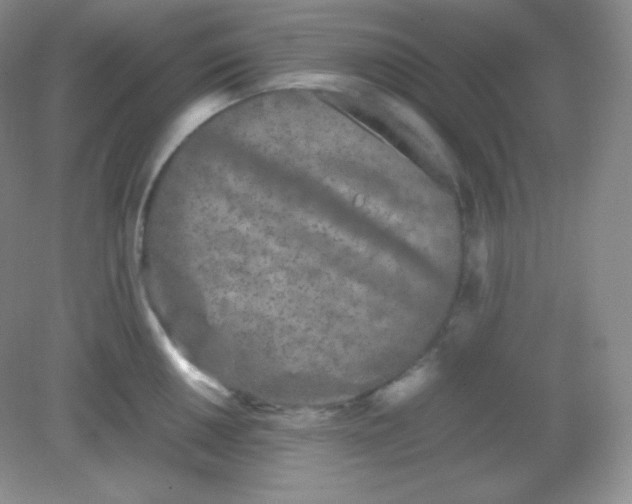 X0000082171050200702021721