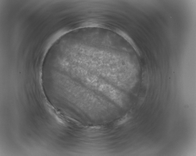 X0000082171051200702021721