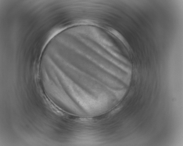 X0000082171052200702021721