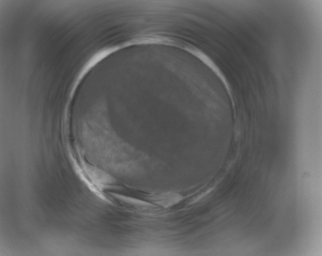 X0000082171053200702021722