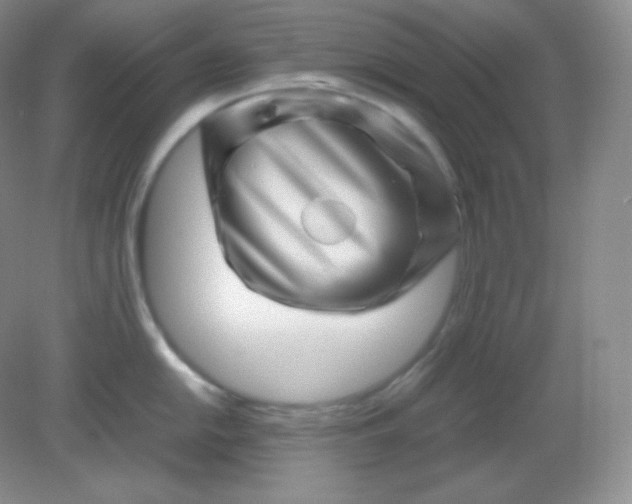 X0000082171054200702021722