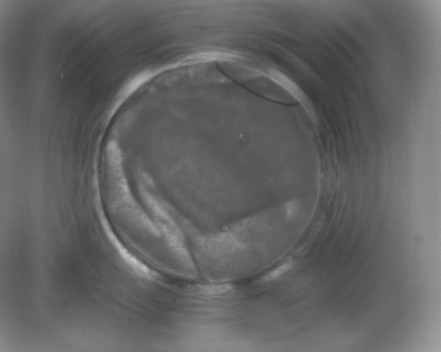 X0000082171055200702021722