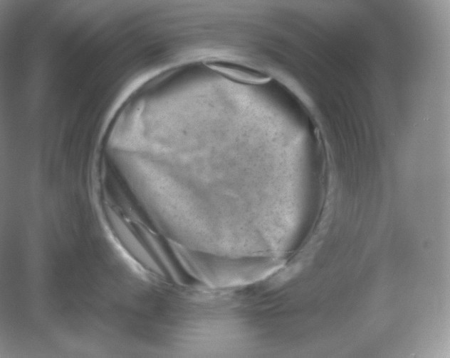 X0000082171056200702021722