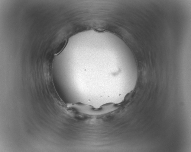 X0000082171058200702021721