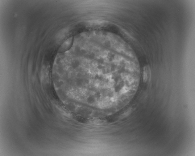 X0000082171059200702021721