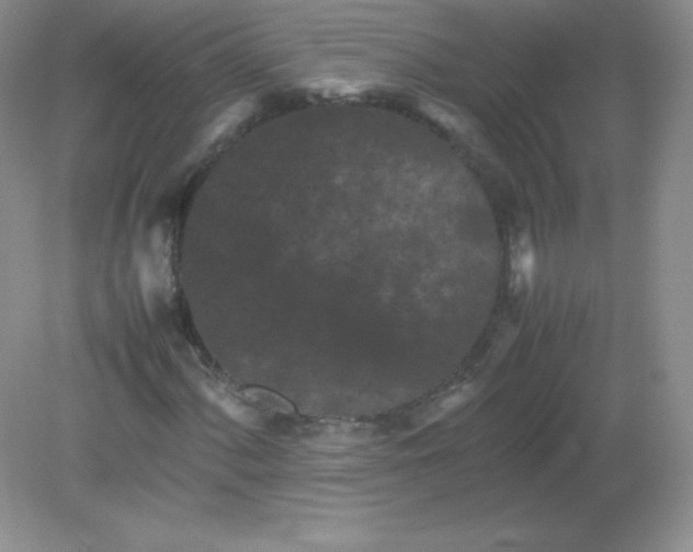 X0000082171060200702021721