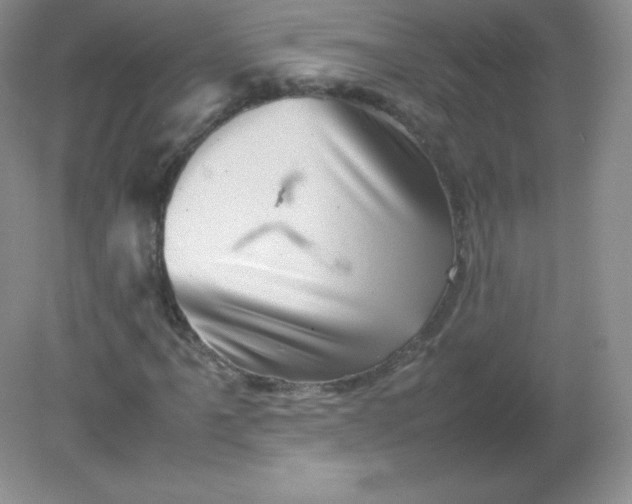 X0000082171061200702021721