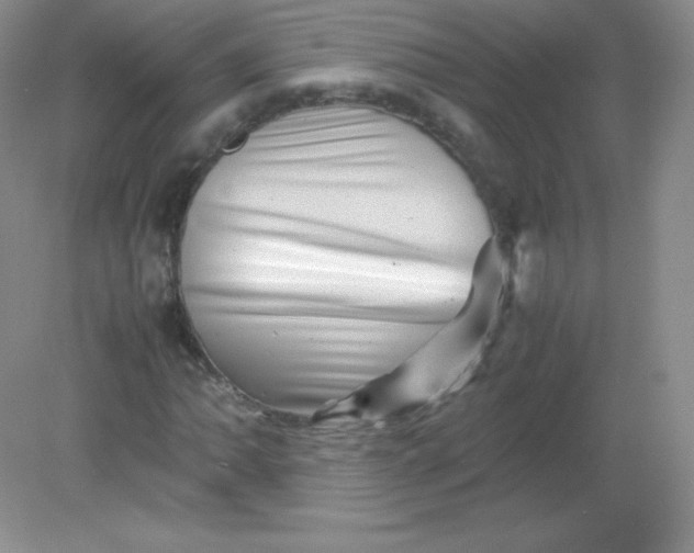 X0000082171062200702021721