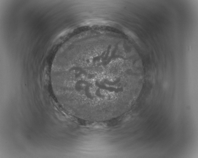 X0000082171063200702021721