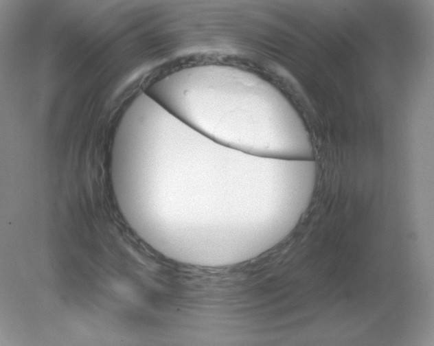 X0000082171064200702021721