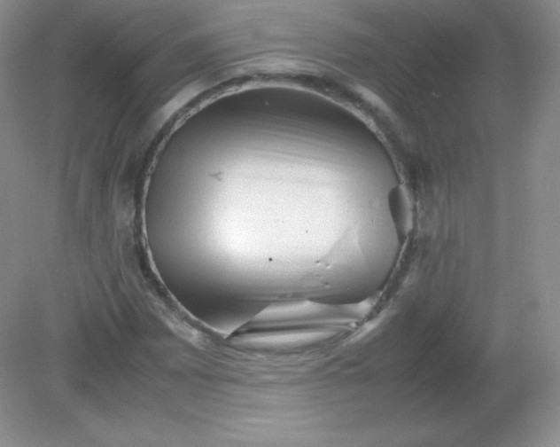 X0000082171065200702021721