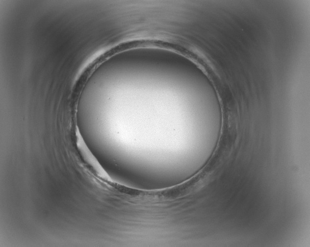 X0000082171069200702021721