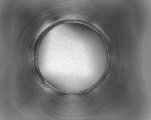 X0000082171070200702021721