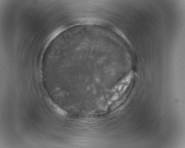 X0000082171071200702021721