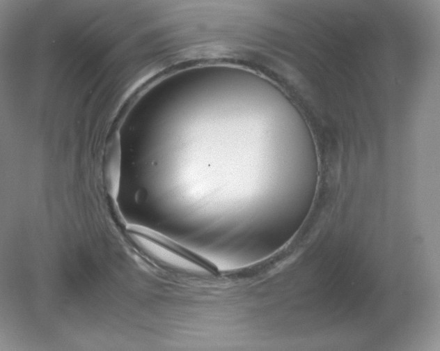 X0000082171073200702021720