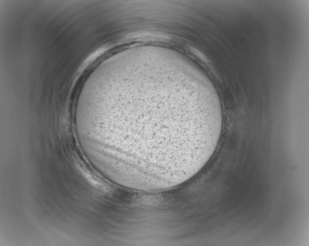 X0000082171074200702021720