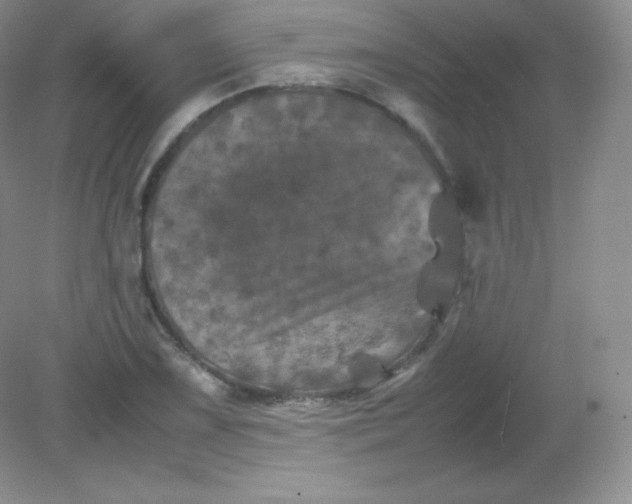 X0000082171075200702021720